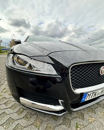 Jaguar XF cena 159900 przebieg: 39500, rok produkcji 2020 z Częstochowa małe 667